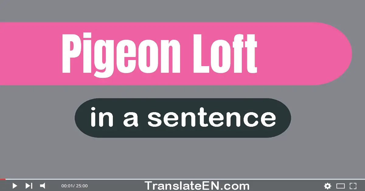 Pigeon Loft in a sentence