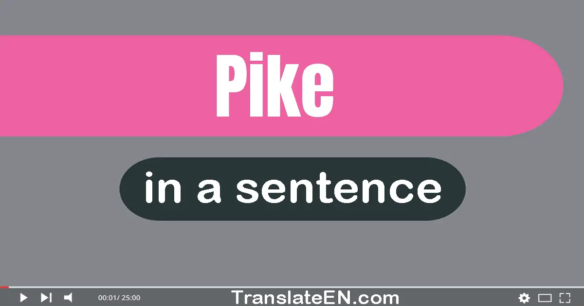 Pike in a sentence