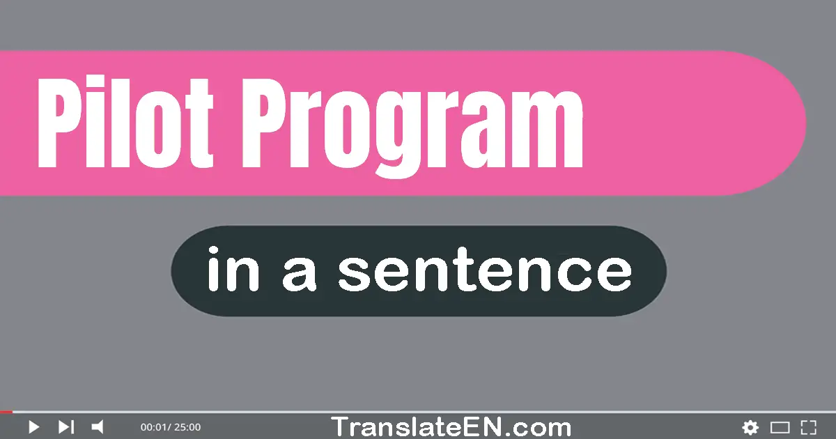 Pilot Program in a sentence