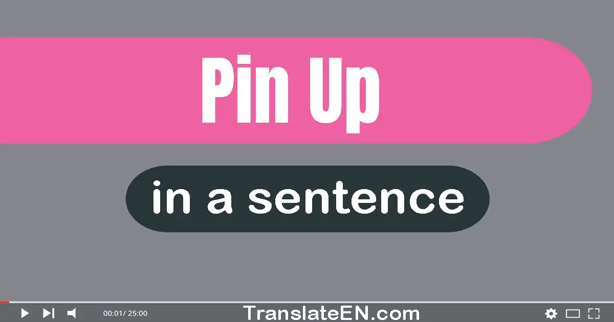 Pin Up in a sentence