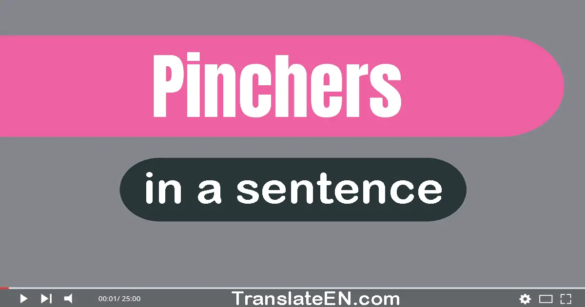 Pinchers in a sentence