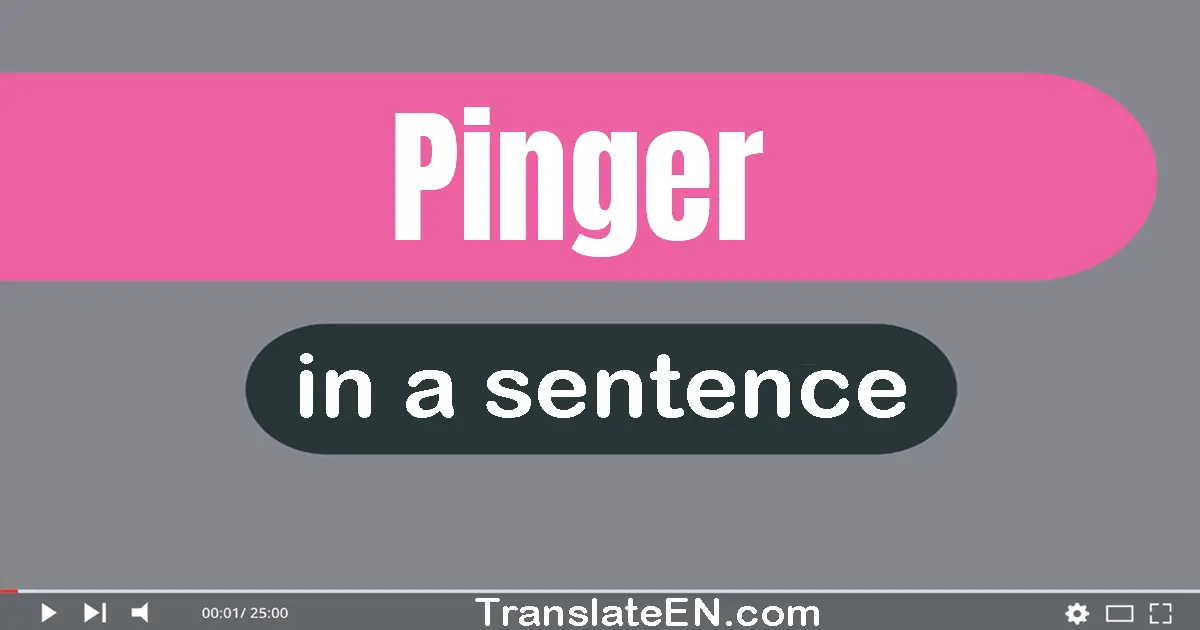 Pinger in a sentence