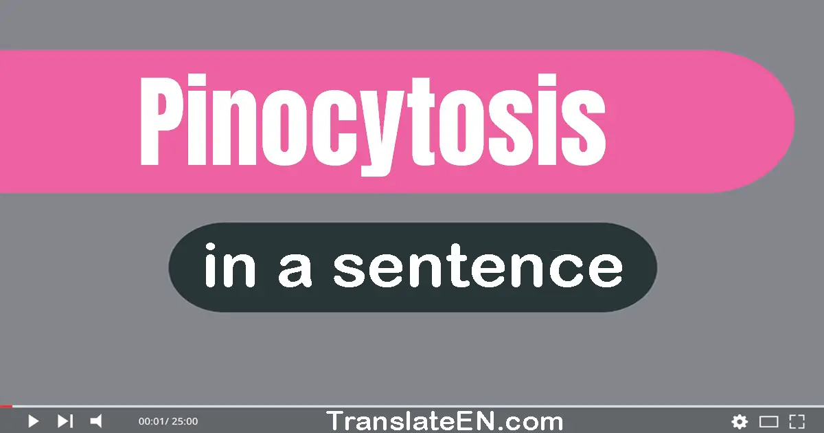 Pinocytosis in a sentence