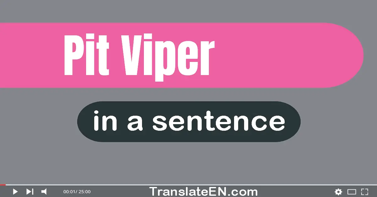 Pit Viper in a sentence