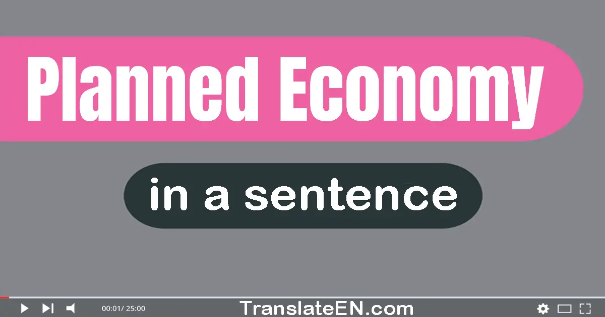 Planned Economy in a sentence