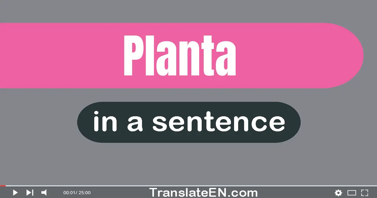 Planta in a sentence