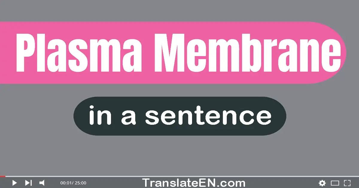 Plasma Membrane in a sentence