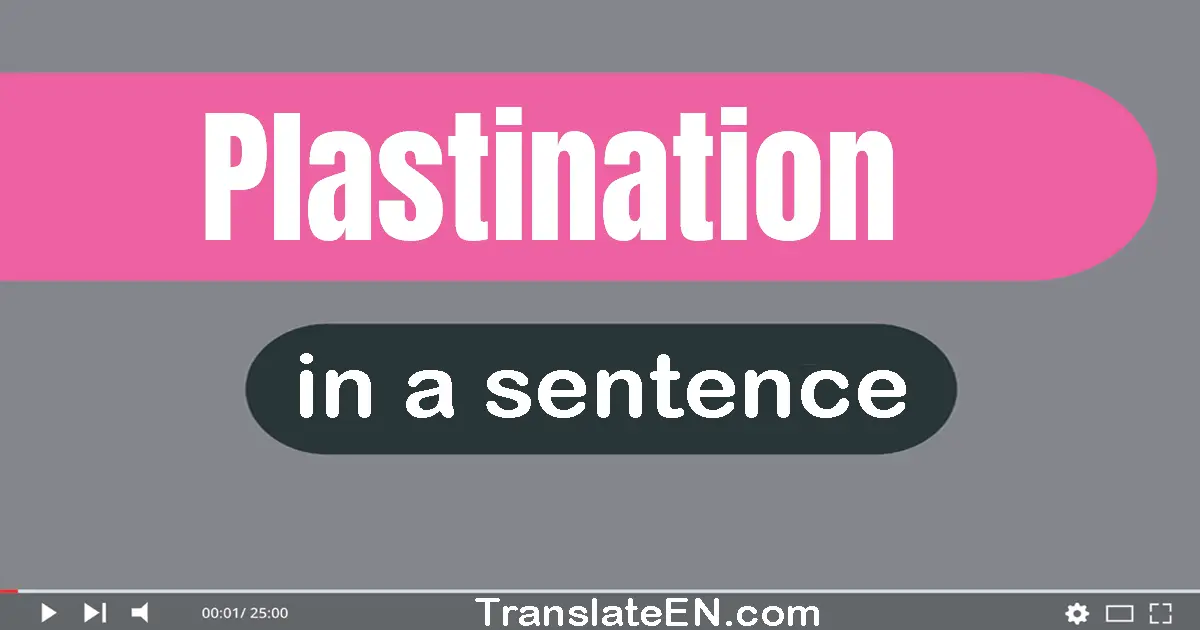 Use "plastination" in a sentence | "plastination" sentence examples