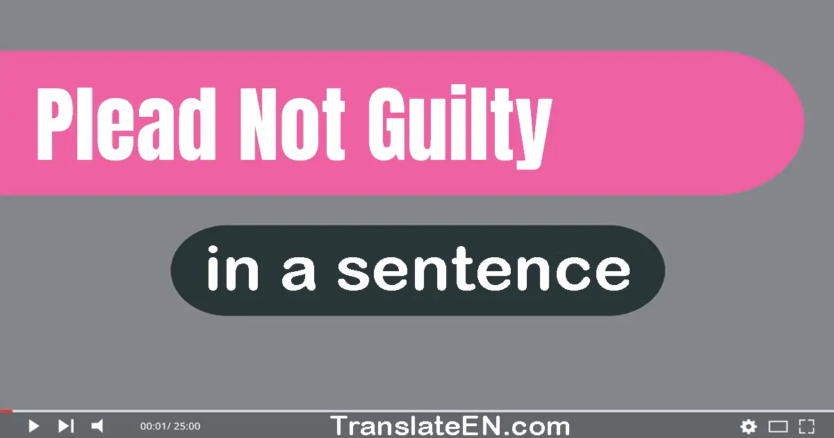 Plead Not Guilty in a sentence