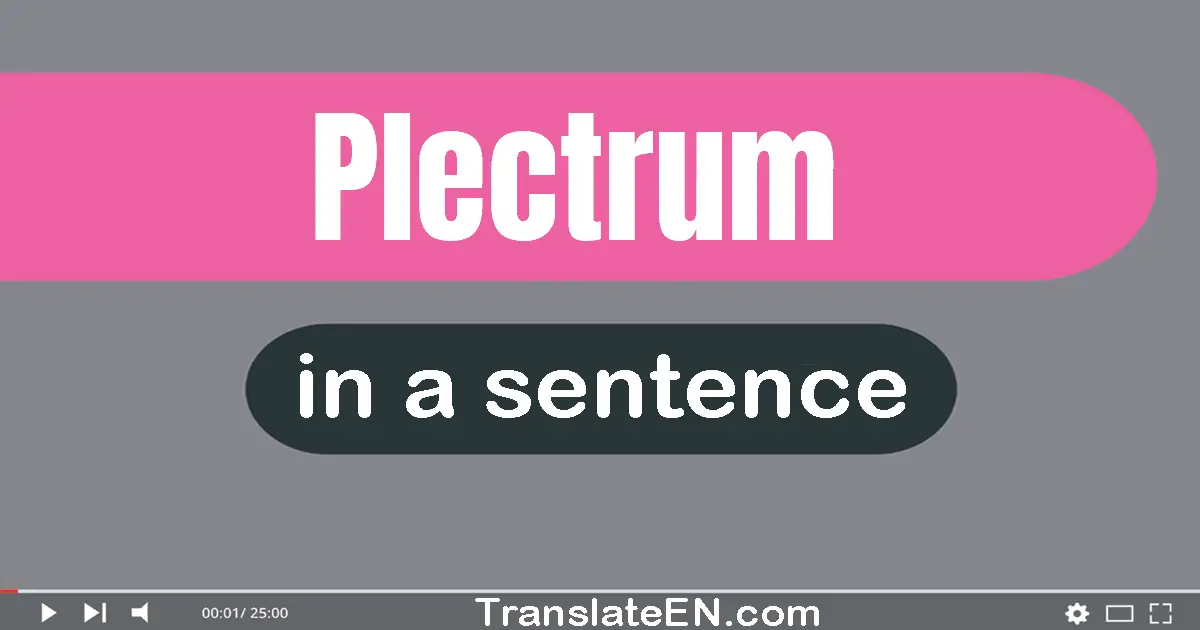 Plectrum in a sentence