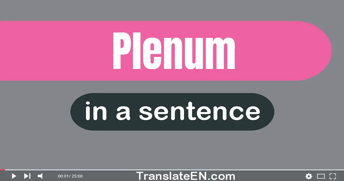 Plenum in a sentence