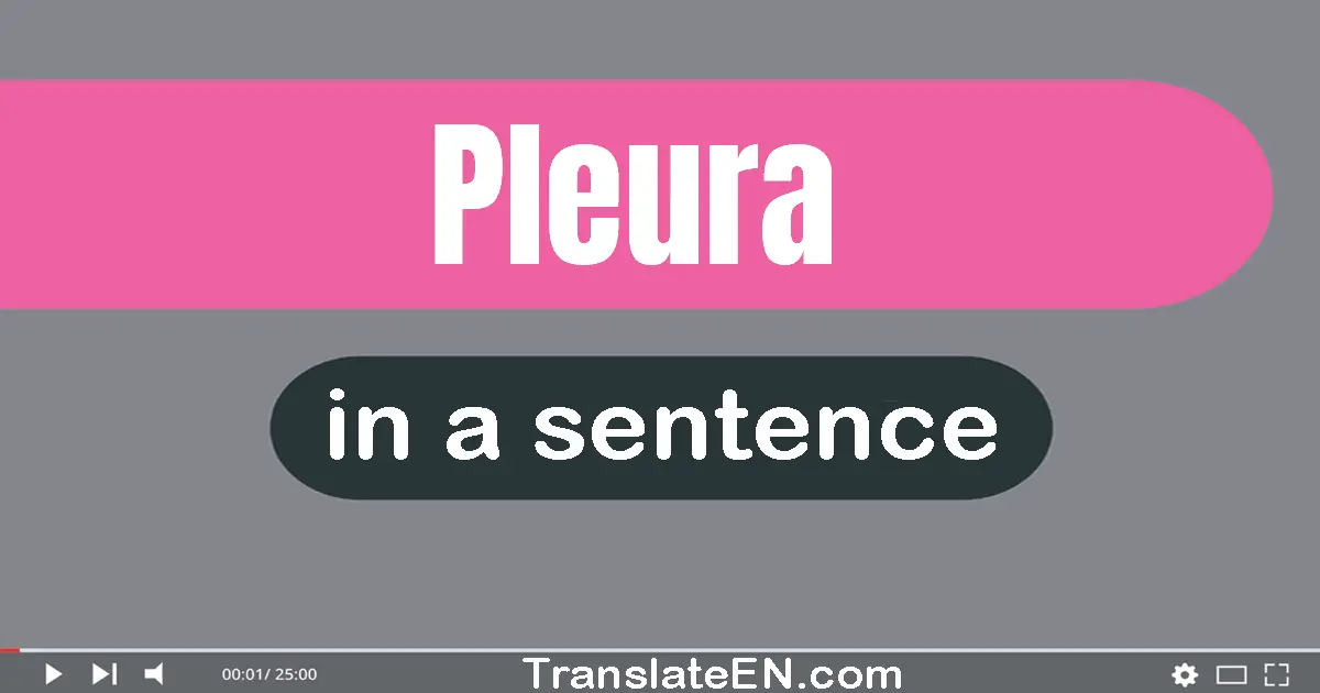 Use "pleura" in a sentence | "pleura" sentence examples