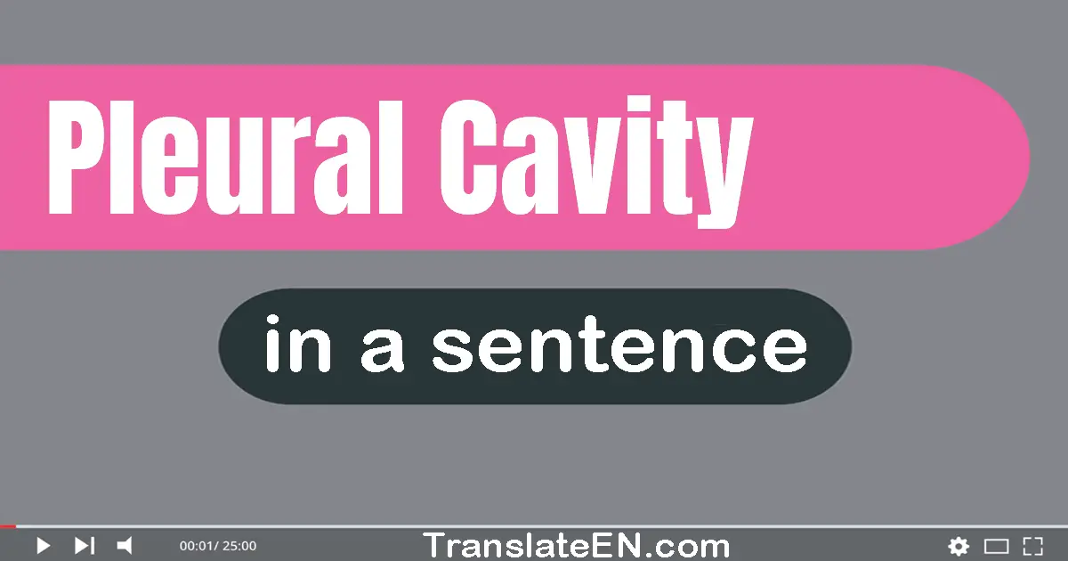 Use "pleural cavity" in a sentence | "pleural cavity" sentence examples