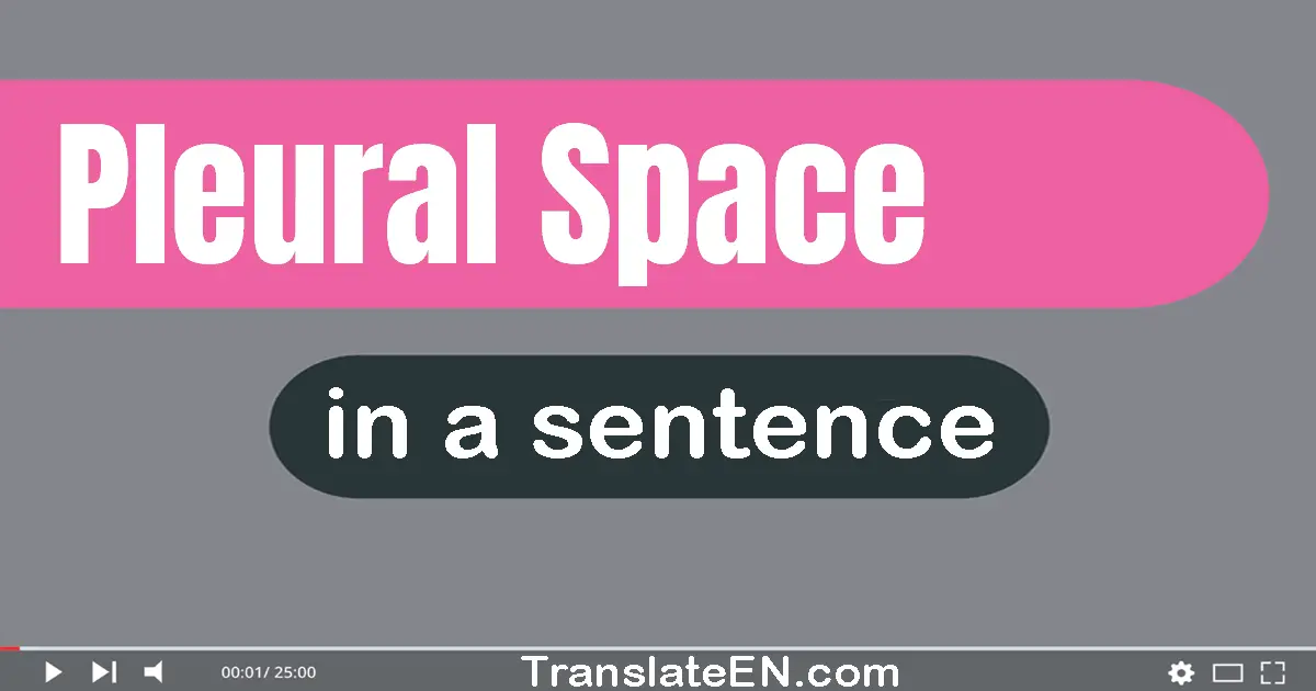 Use "pleural space" in a sentence | "pleural space" sentence examples