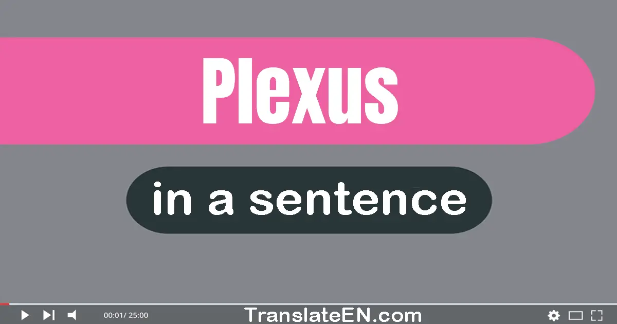 Use "plexus" in a sentence | "plexus" sentence examples