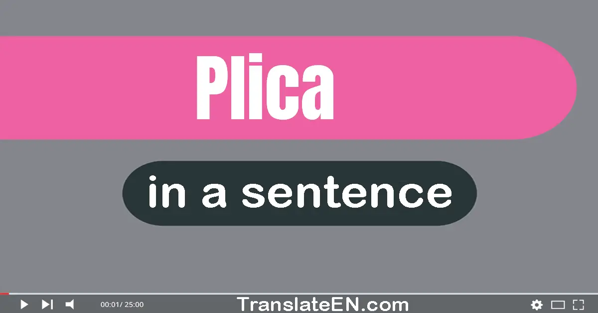 Use "plica" in a sentence | "plica" sentence examples