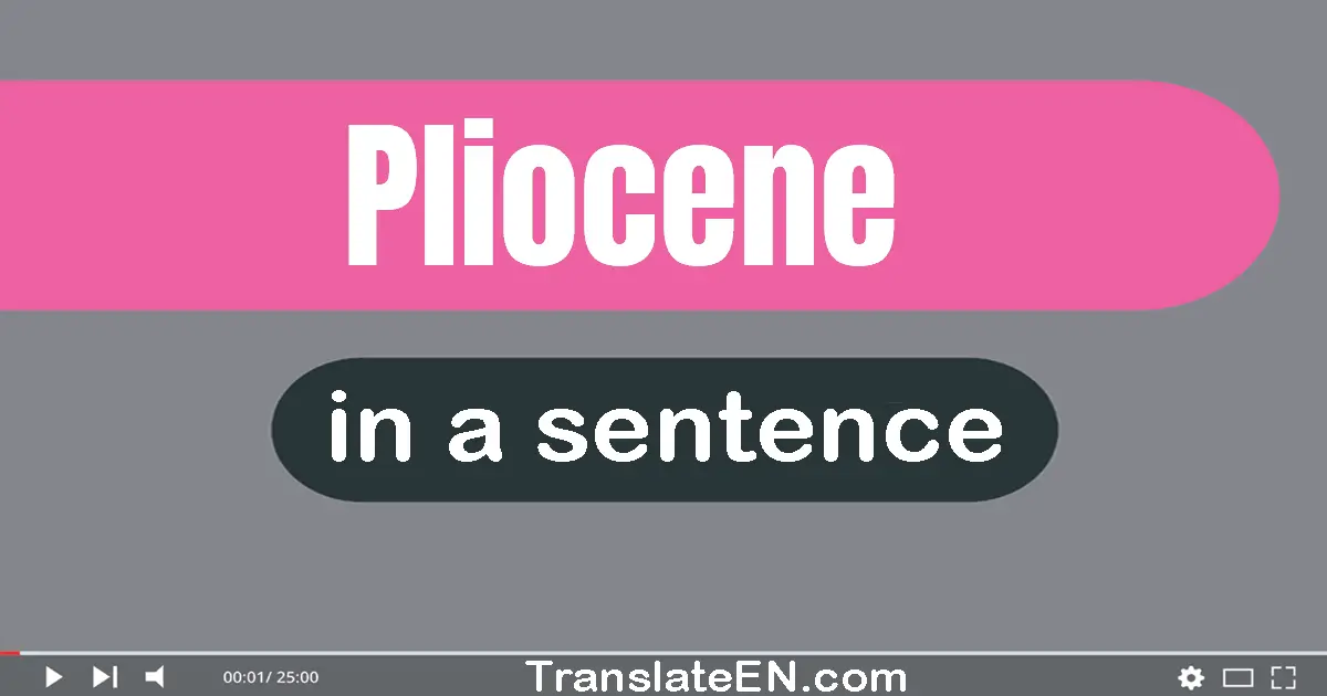 Use "pliocene" in a sentence | "pliocene" sentence examples