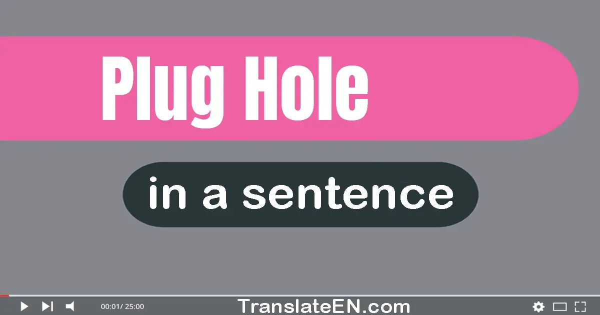 Plug Hole in a sentence