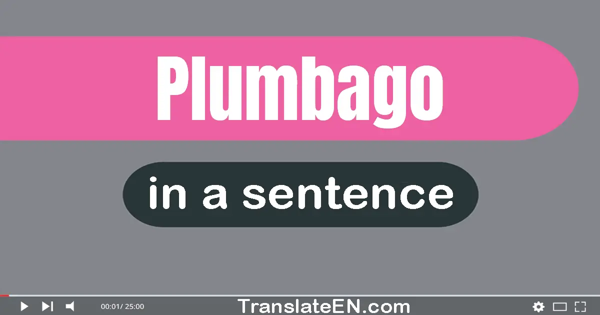 Plumbago in a sentence