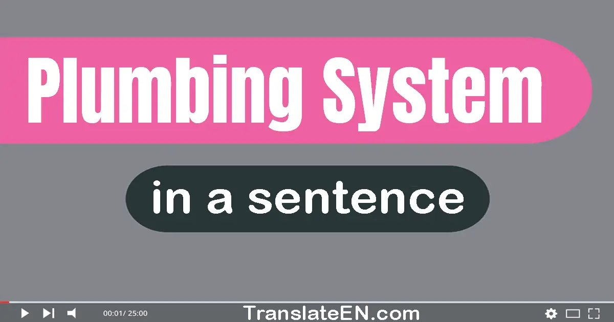 Plumbing System in a sentence