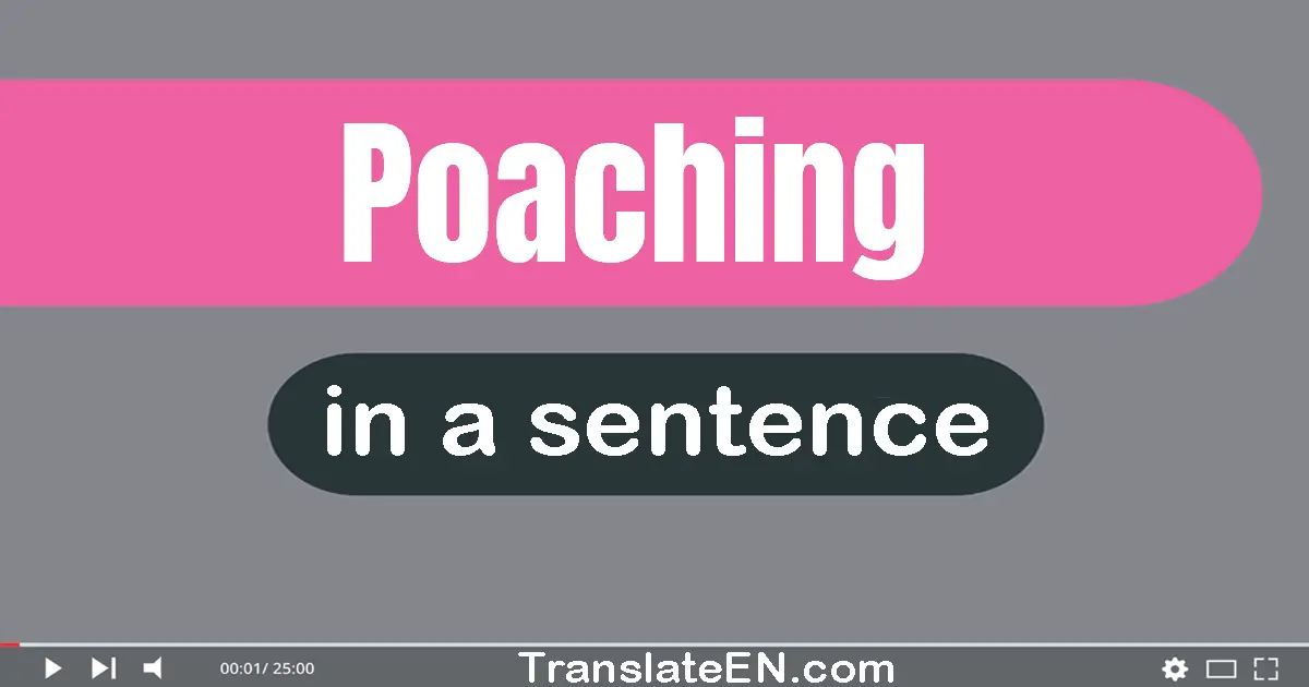 Poaching in a sentence