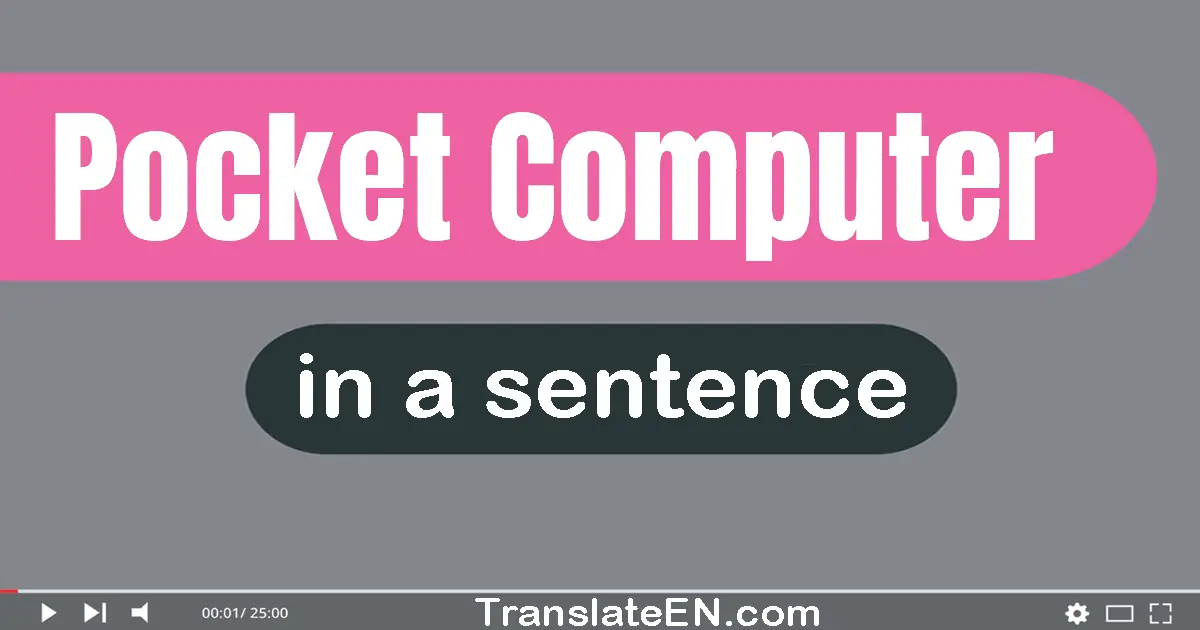 Use "pocket computer" in a sentence | "pocket computer" sentence examples