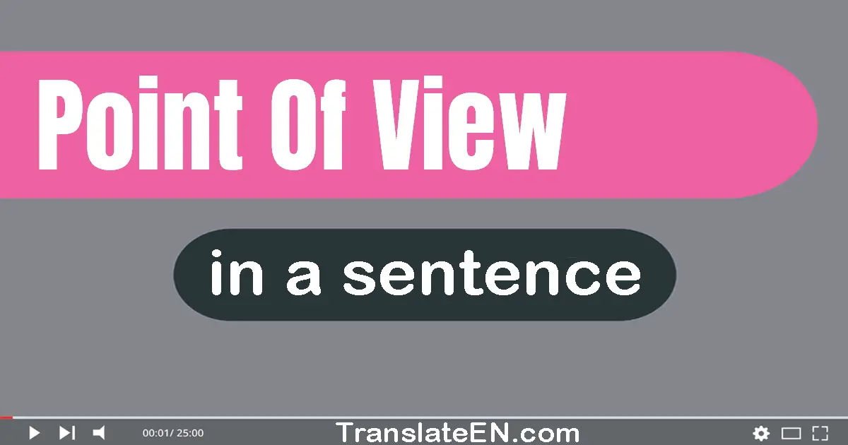 Use "point of view" in a sentence | "point of view" sentence examples