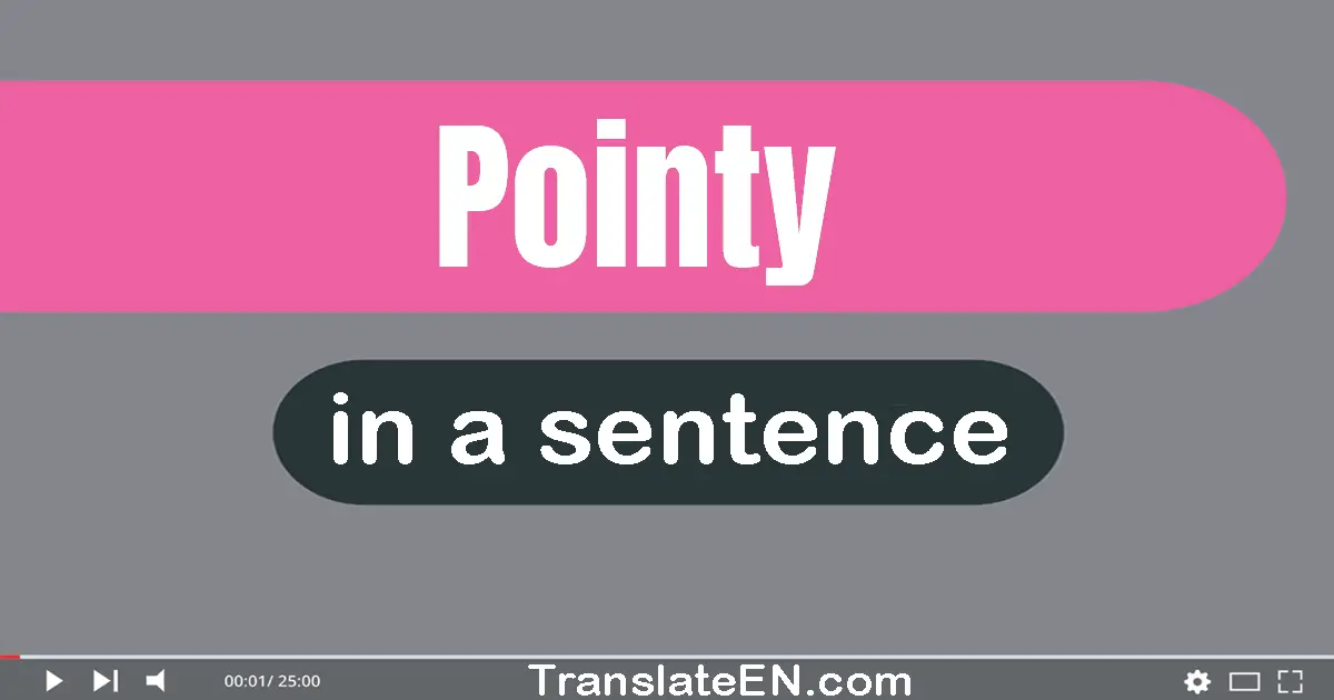 Pointy in a sentence