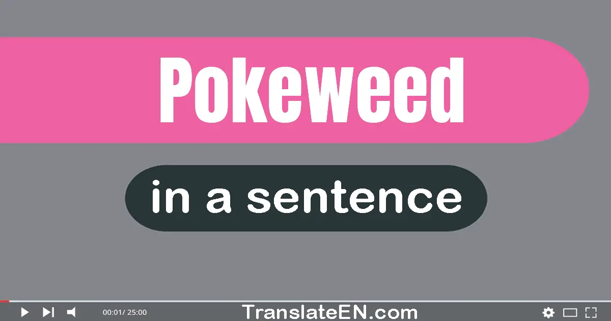 Pokeweed in a sentence