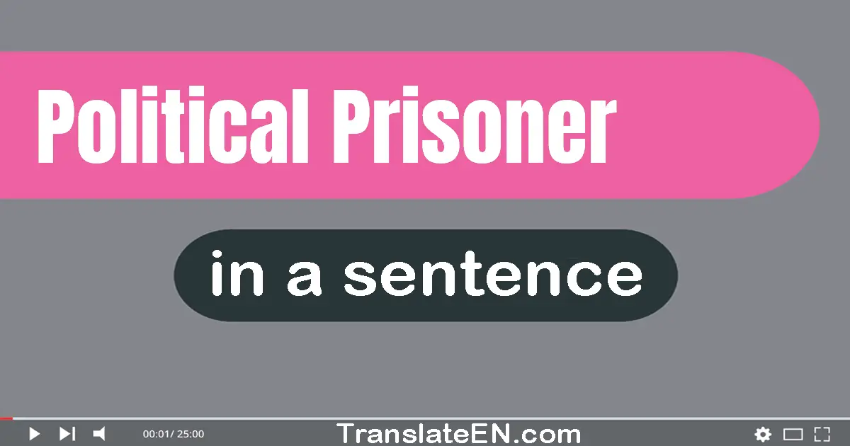 Political Prisoner in a sentence