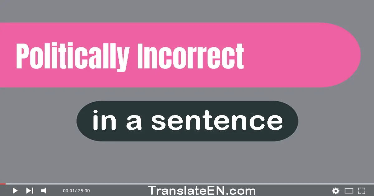 Politically Incorrect in a sentence