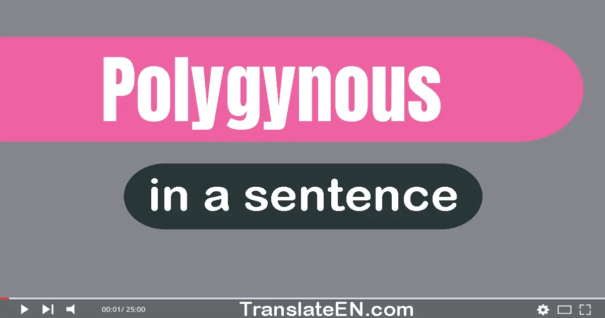 Polygynous in a sentence