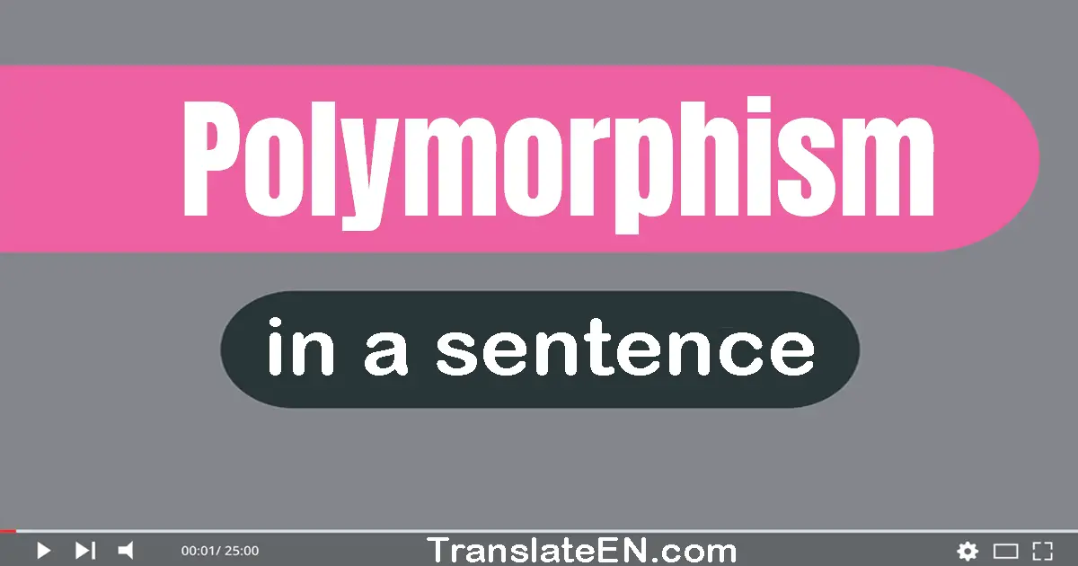Use "polymorphism" in a sentence | "polymorphism" sentence examples