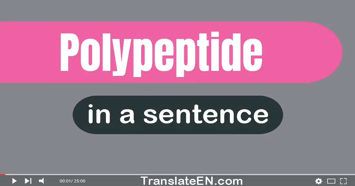 Use "polypeptide" in a sentence | "polypeptide" sentence examples