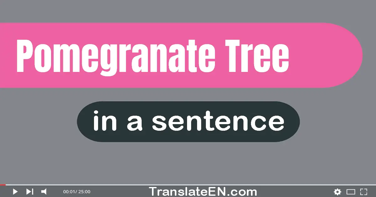 Use "pomegranate tree" in a sentence | "pomegranate tree" sentence examples