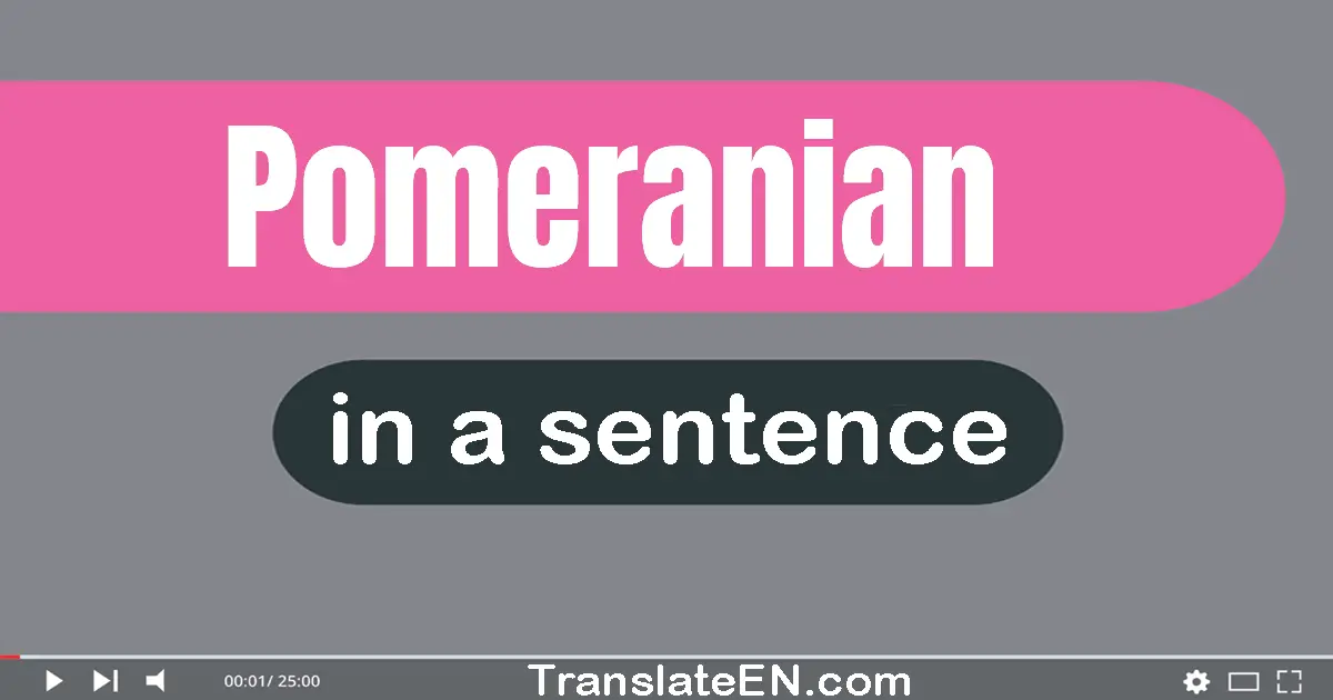 Use "pomeranian" in a sentence | "pomeranian" sentence examples