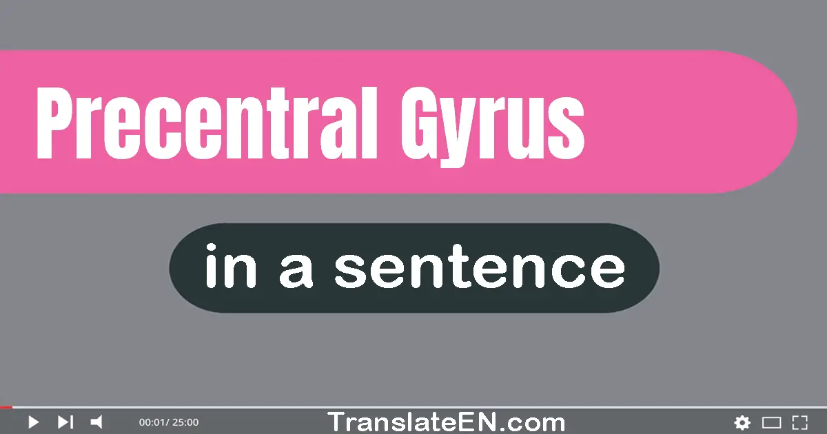 Use "precentral gyrus" in a sentence | "precentral gyrus" sentence examples