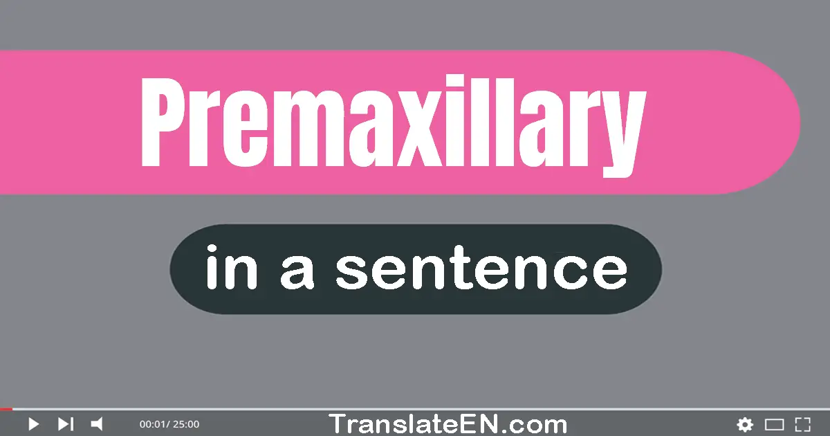 Use "premaxillary" in a sentence | "premaxillary" sentence examples