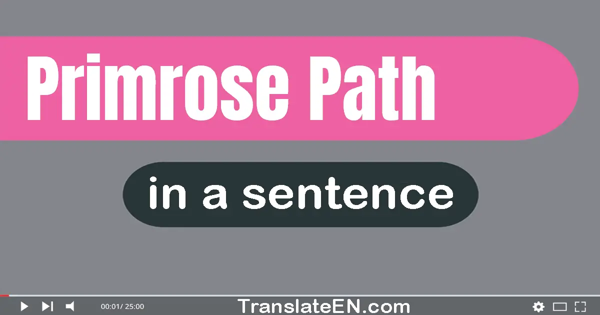 Use "primrose path" in a sentence | "primrose path" sentence examples