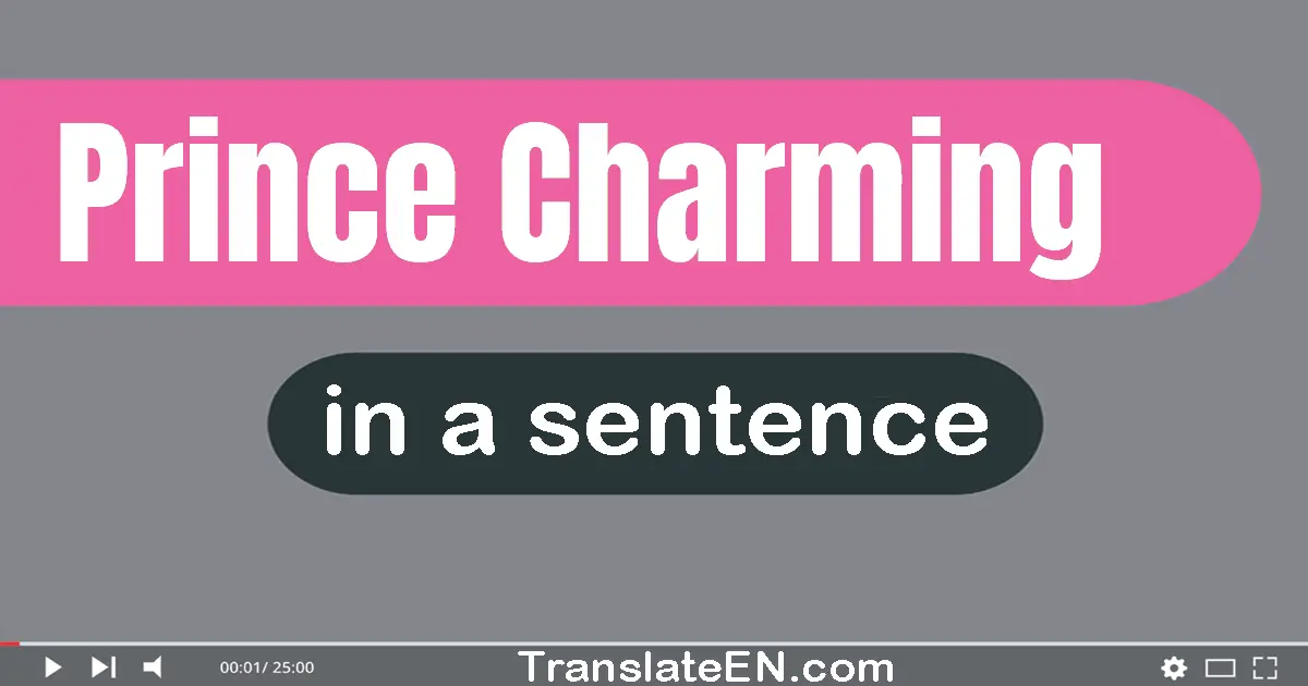 Use "prince charming" in a sentence | "prince charming" sentence examples