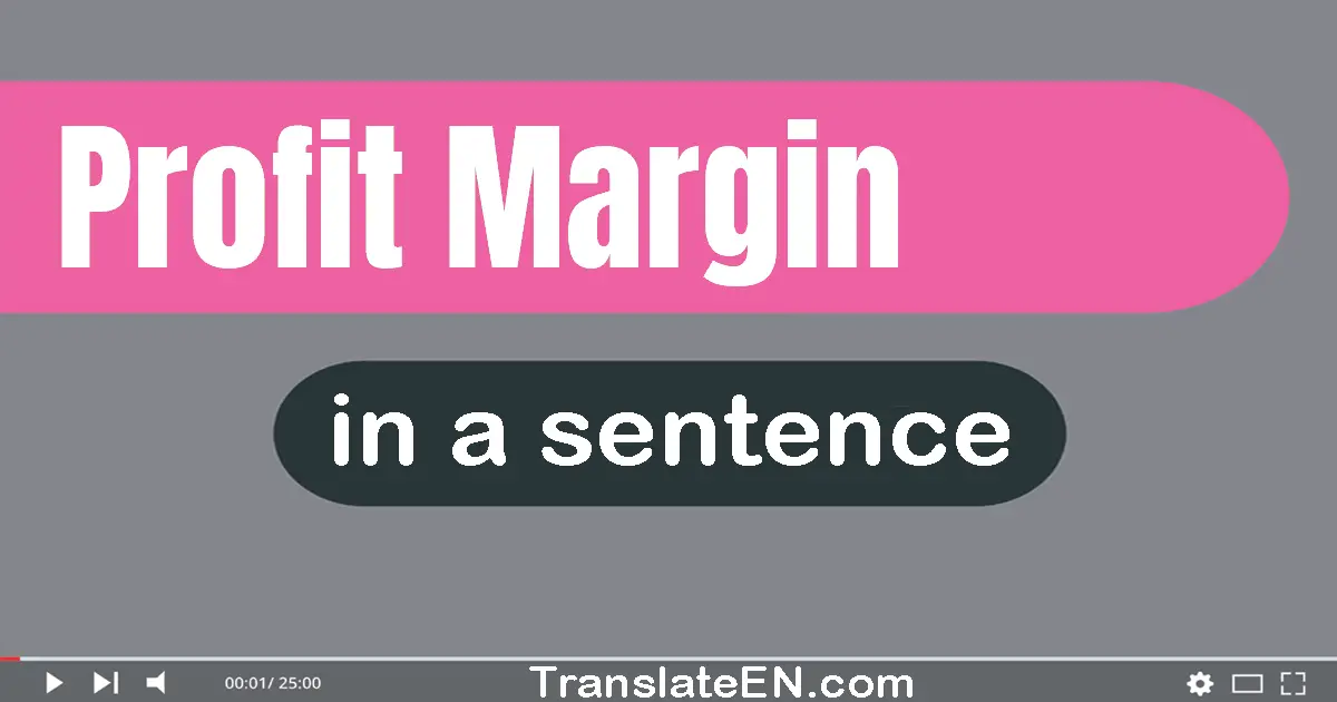 Use "profit margin" in a sentence | "profit margin" sentence examples