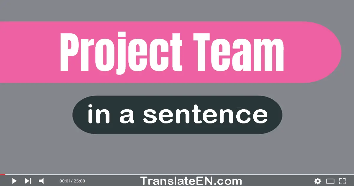 Project Team in a sentence