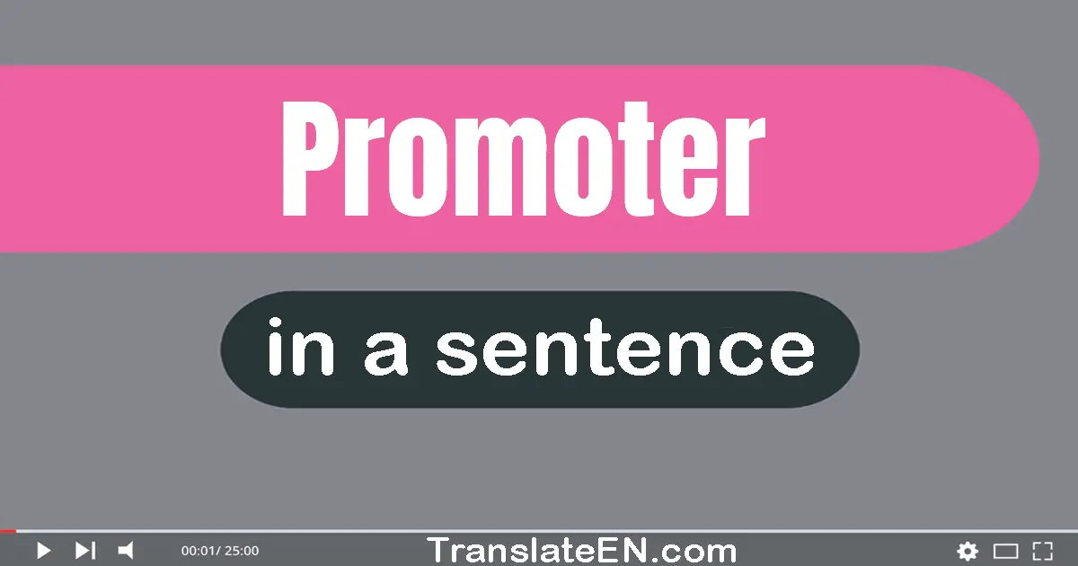 Use "promoter" in a sentence | "promoter" sentence examples