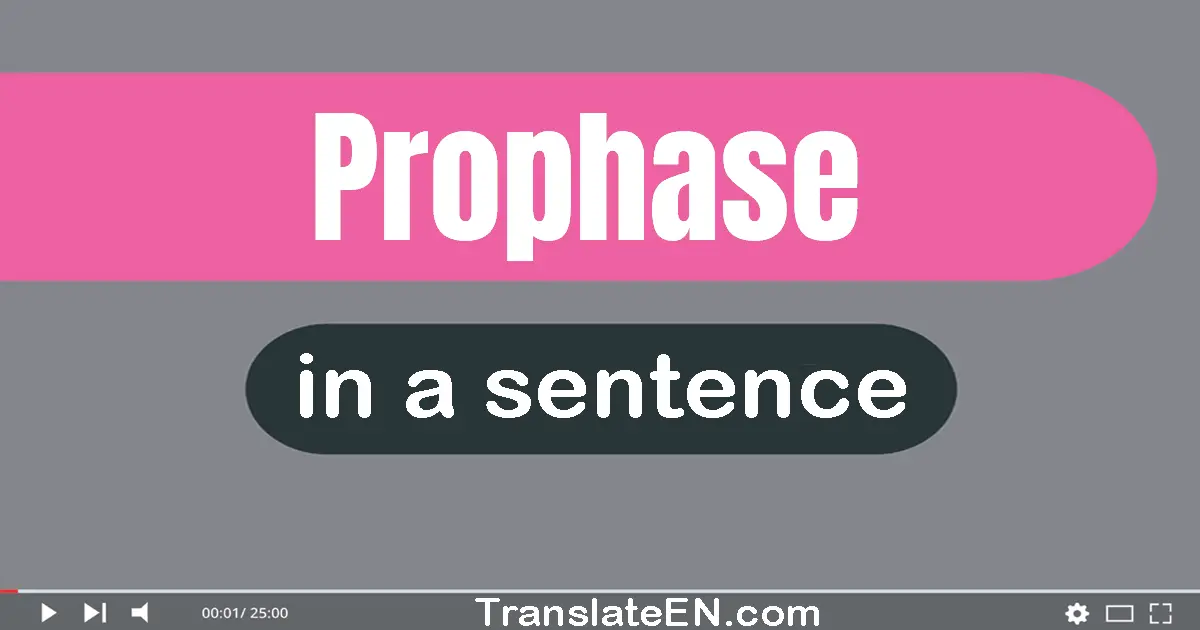Use "prophase" in a sentence | "prophase" sentence examples