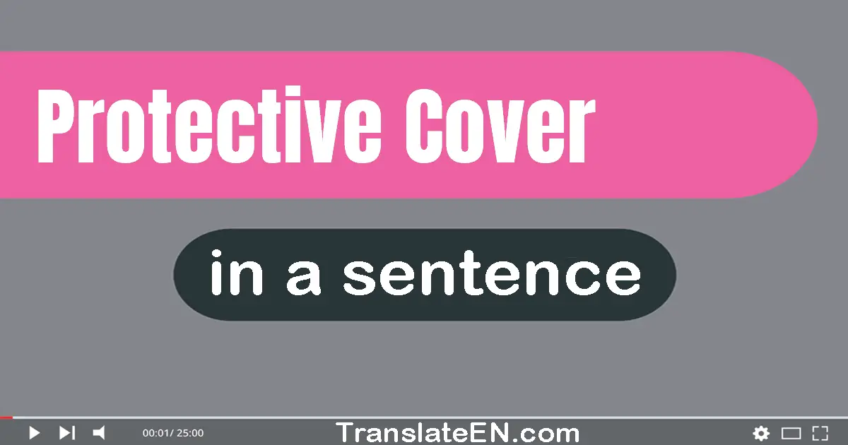 Protective Cover in a sentence