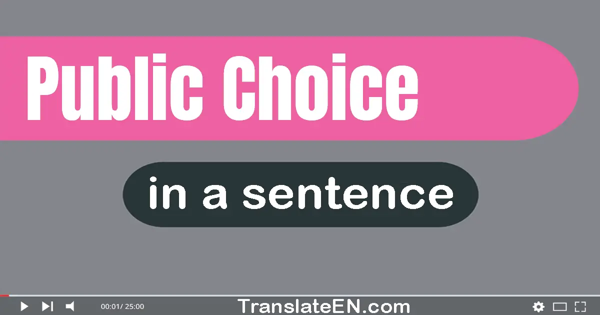 Public Choice in a sentence