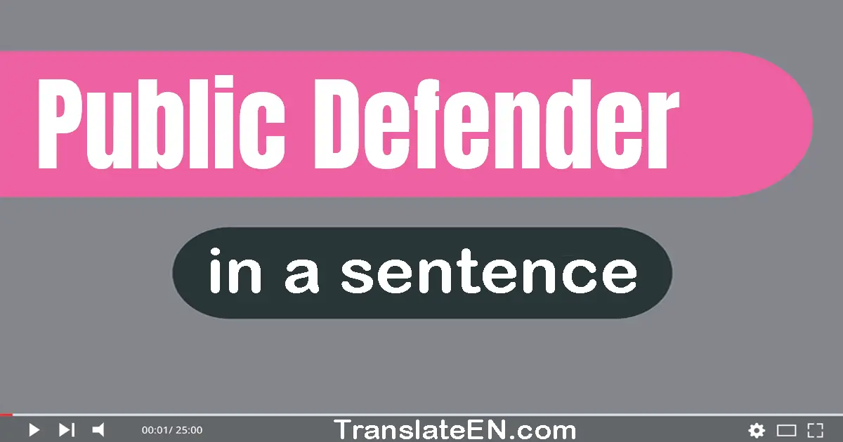 Public Defender in a sentence