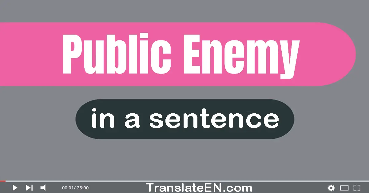 Public Enemy in a sentence