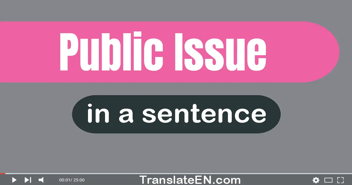 Public Issue in a sentence