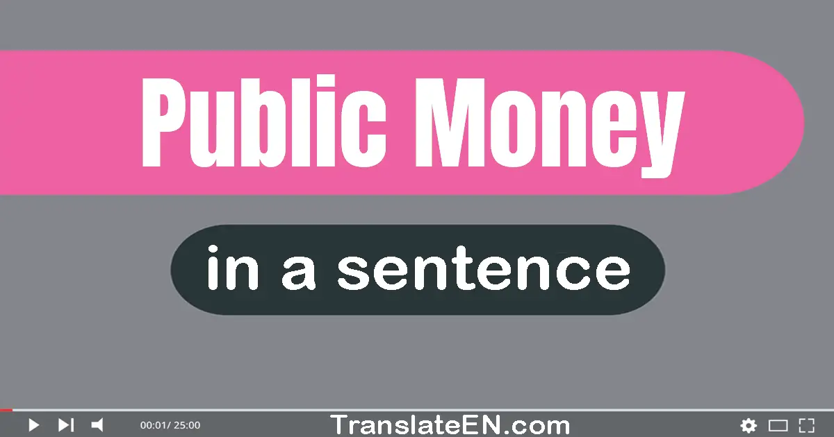 Public Money in a sentence